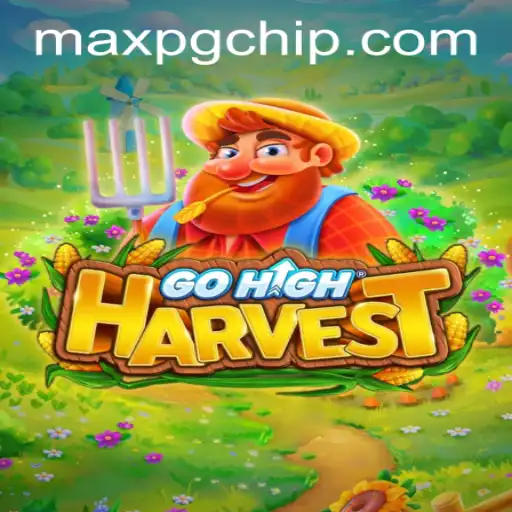 maxpg PH Login Card games